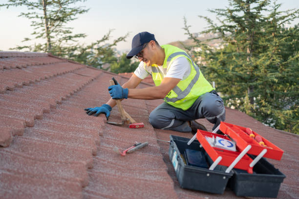 Roof Gutter Cleaning in Catoosa, OK